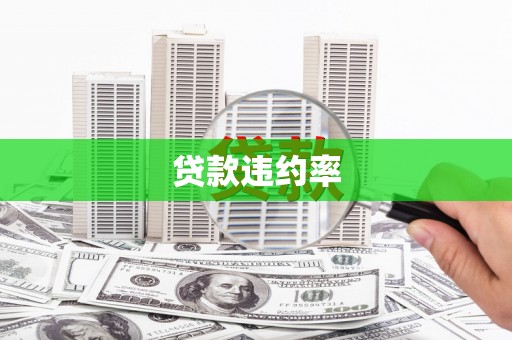 安顺贷款违约率