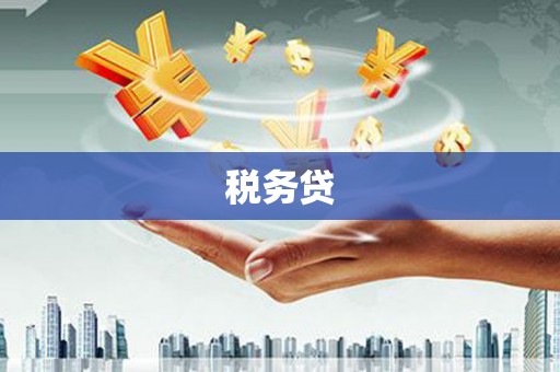 安顺税务贷
