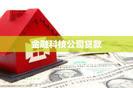 安顺金融科技公司贷款