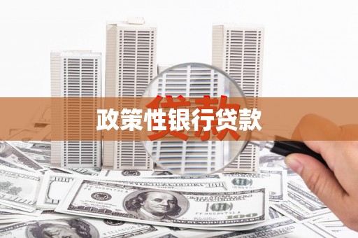 安顺政策性银行贷款