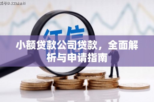 安顺小额贷款公司贷款，全面解析与申请指南