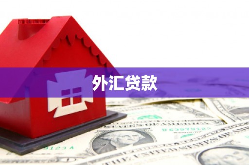 安顺外汇贷款