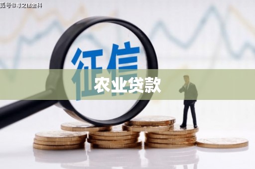 安顺农业贷款