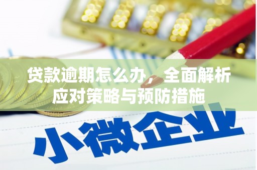 安顺贷款逾期怎么办，全面解析应对策略与预防措施