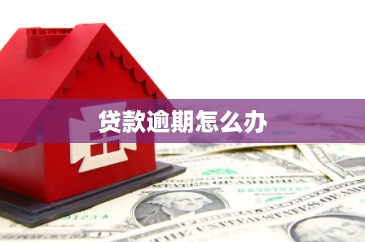 安顺贷款逾期怎么办
