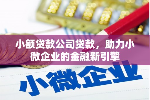 安顺小额贷款公司贷款，助力小微企业的金融新引擎