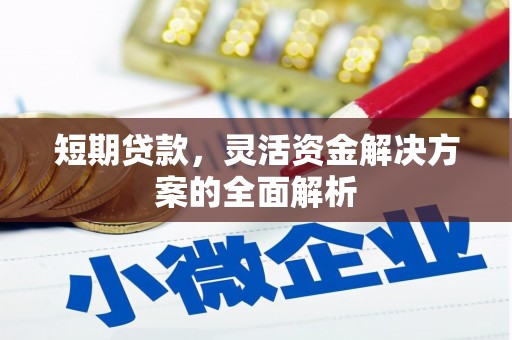 安顺短期贷款，灵活资金解决方案的全面解析