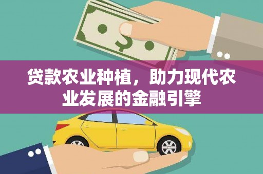 安顺贷款农业种植，助力现代农业发展的金融引擎