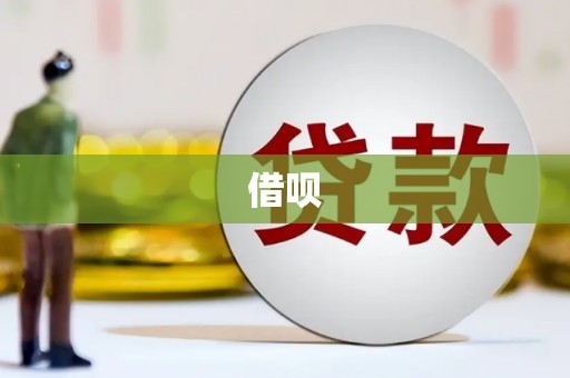 安顺借呗