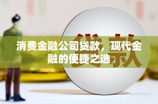 安顺消费金融公司贷款，现代金融的便捷之选