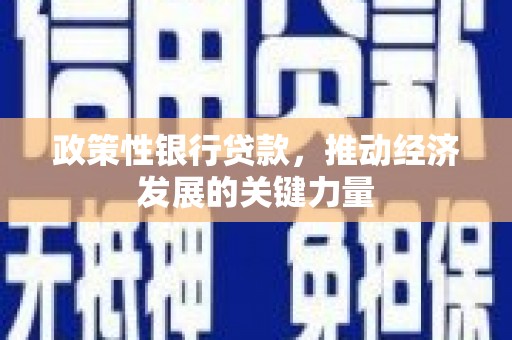 安顺政策性银行贷款，推动经济发展的关键力量