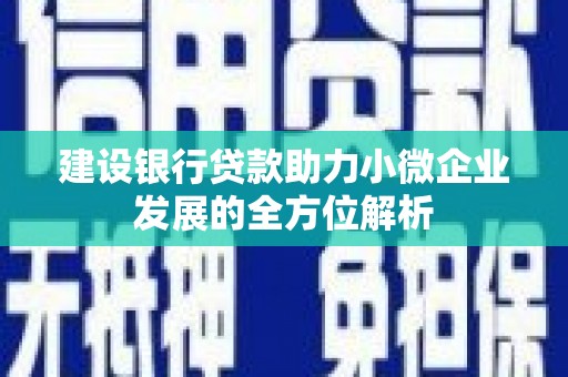 安顺建设银行贷款助力小微企业发展的全方位解析