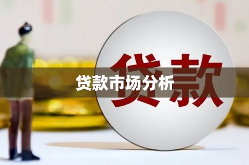 安顺贷款市场分析