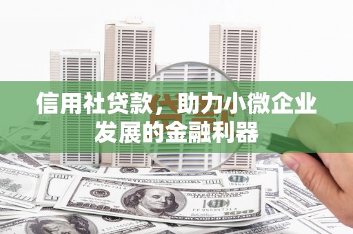 安顺信用社贷款，助力小微企业发展的金融利器