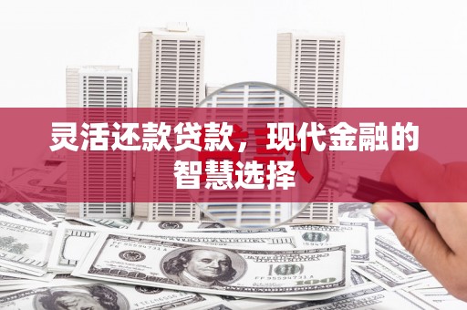 安顺灵活还款贷款，现代金融的智慧选择