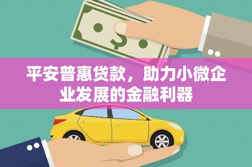 安顺平安普惠贷款，助力小微企业发展的金融利器