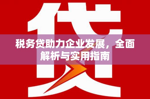 安顺税务贷助力企业发展，全面解析与实用指南