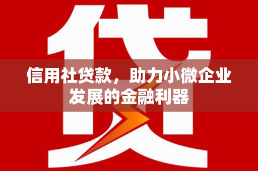 安顺信用社贷款，助力小微企业发展的金融利器