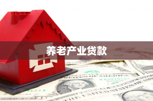 安顺养老产业贷款