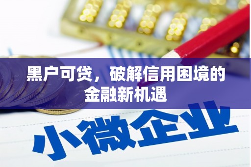 安顺黑户可贷，破解信用困境的金融新机遇