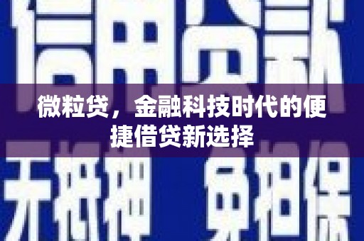 安顺微粒贷，金融科技时代的便捷借贷新选择
