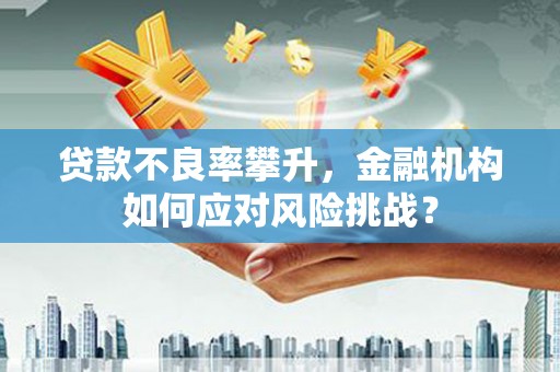 安顺贷款不良率攀升，金融机构如何应对风险挑战？