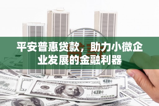 安顺平安普惠贷款，助力小微企业发展的金融利器