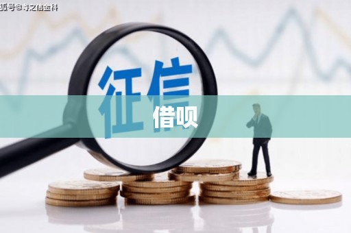 安顺借呗